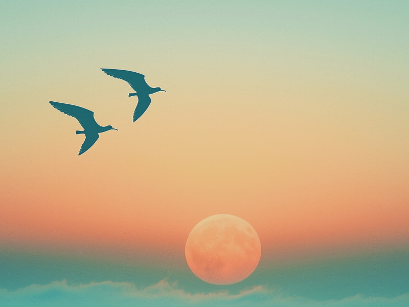 Creating A Personalised Funeral Service In Revesby